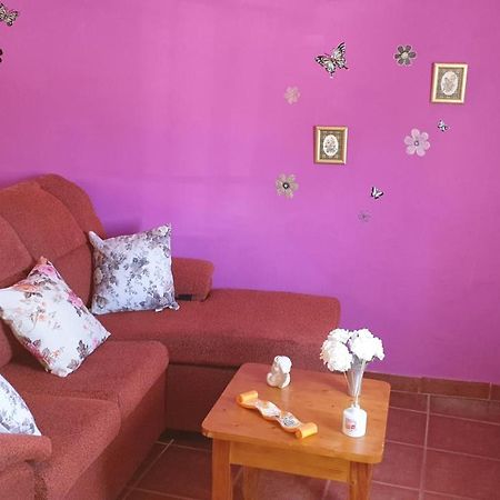 Pequeno Estudio Apartment Granadilla De Abona Exterior foto